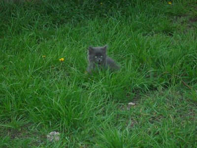 100_4810.JPG