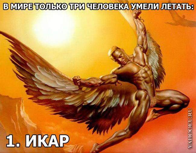 1232393237_1001.jpg