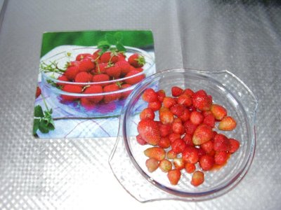 P1070001.JPG