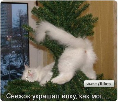 YZIcXsxma8E.jpg