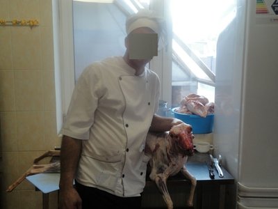 повар2.jpg