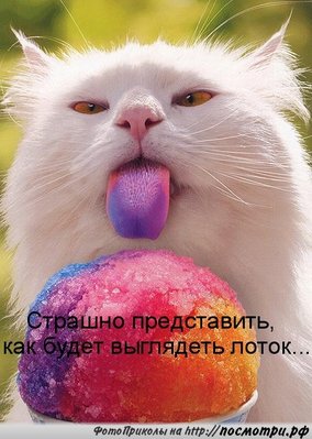 kotomatrici_Posmotri_rf_1009.jpg