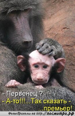 kotomatrici_Posmotri_rf_1665.jpg