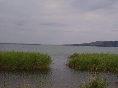 P2270019.JPG