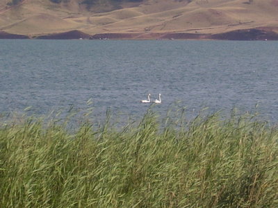 P2270035.JPG