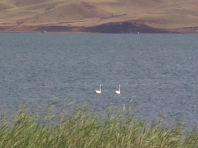 P2270036.JPG