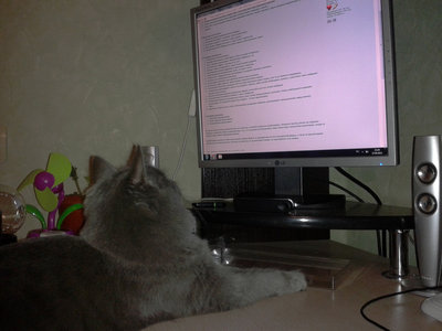 2012-08-27 23.29.34.jpg