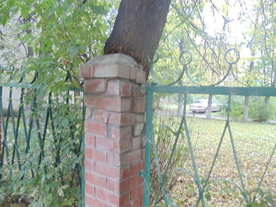 DSC06994.JPG
