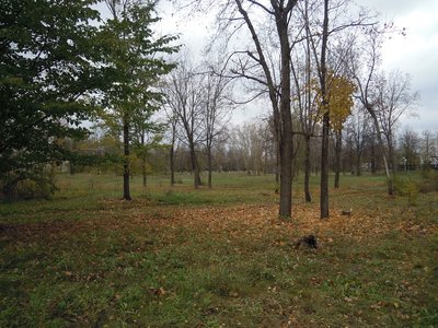 DSCN2673.JPG