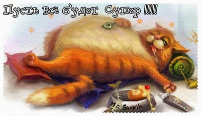 x_1902a27b.jpg