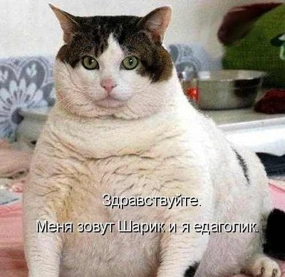 Шарик.jpg
