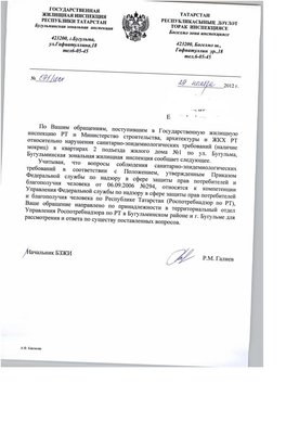 мокрицы.JPG