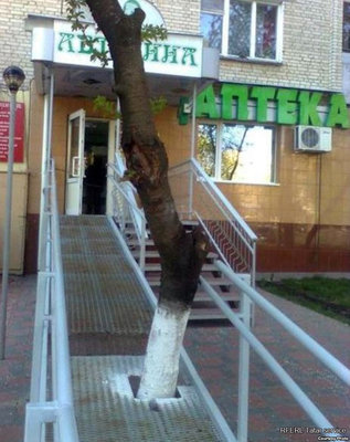 post-32-0-06157600-1352798537.jpg