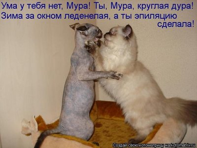 32b629d9b5de.jpg