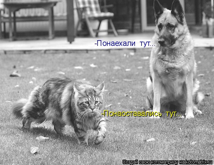 PD.jpg