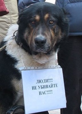 getImageCA7BET9R.jpg
