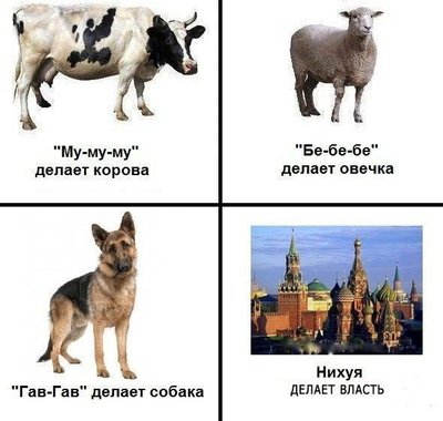 6e6C87mYGTE (2).jpg