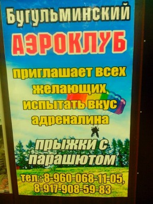 IMG_20130817_133406.jpg