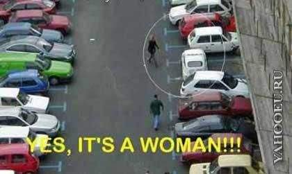1231498617_1207313494_auto_007.jpg