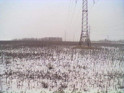 28112013530.jpg