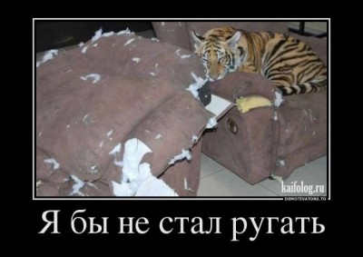 3138193_e3402ff2.jpg