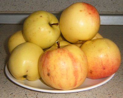 яблочки.jpg