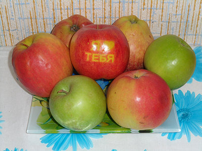 2716_450.jpg