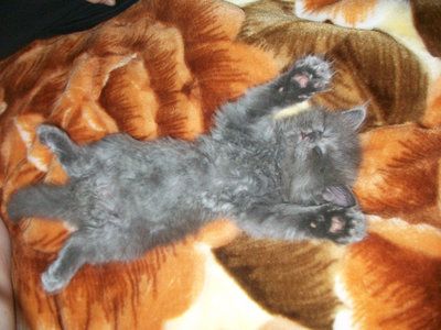 100_4702.JPG